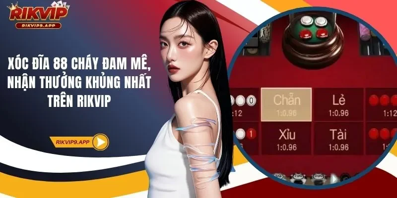 Xóc đĩa 88